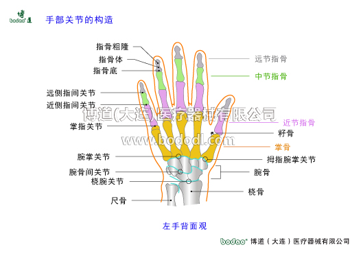 手关节常见伤病与健康防护