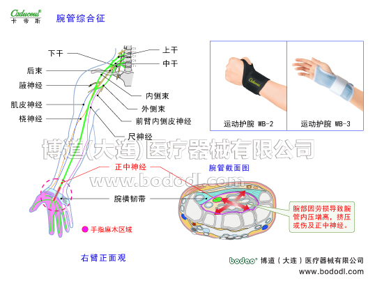 腕关节的运动损伤与防护