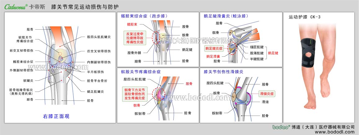MAJOR SPORTS INJURY OF KNEE JOINT 